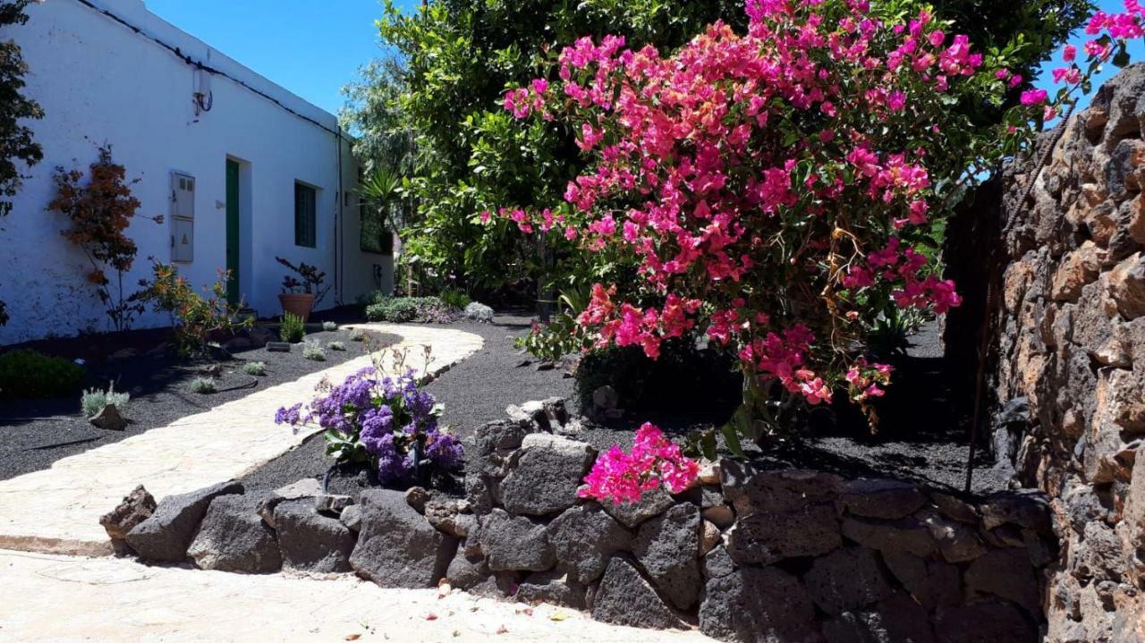 Casa Tara Villa Macher ภายนอก รูปภาพ